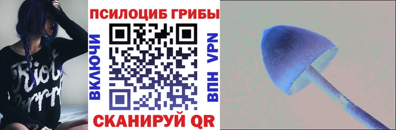 Псилоцибиновые грибы GOLDEN TEACHER blacksprut ссылка Анива